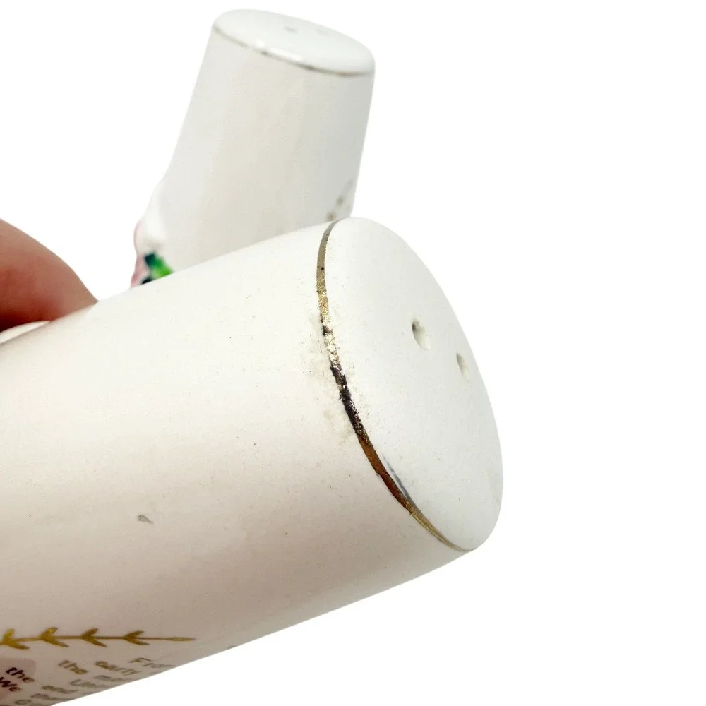Vintage 1940s Japan Salt &‎ Pepper Shakers Raised Roses Ceramic